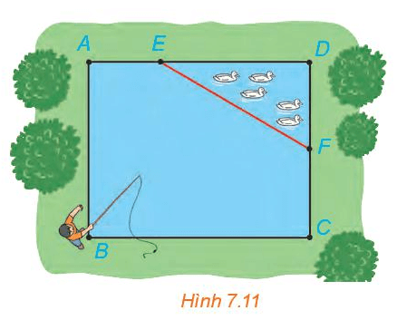 Hình minh họa câu hỏi